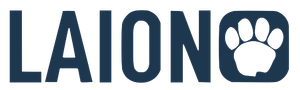 LAION Large-scale Artificial Intelligence Open Network